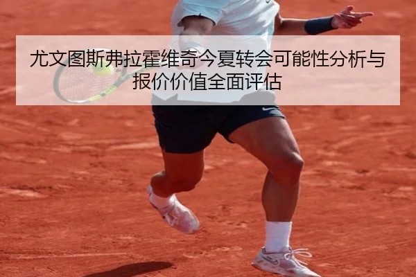 尤文图斯弗拉霍维奇今夏转会可能性分析与报价价值全面评估